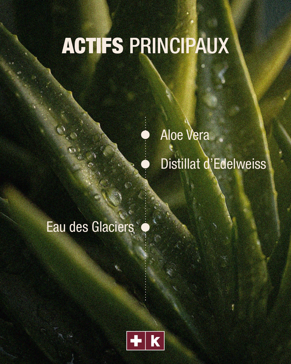 Aloe Vera Spray Gel
